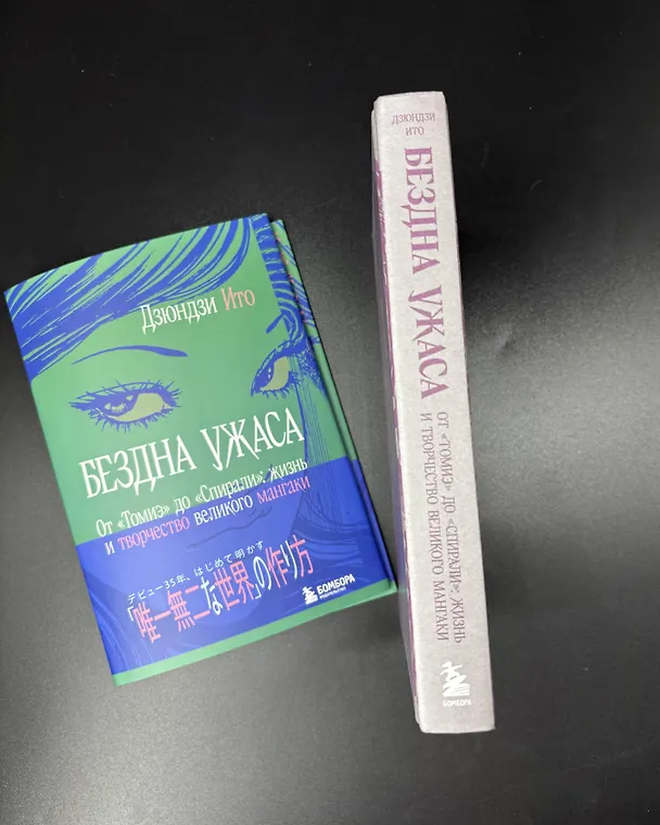 Книга Бездна ужаса. От "Томиэ" до "Спирали": жизнь и творчество великого мангаки (Дзюндзи Ито) — 15