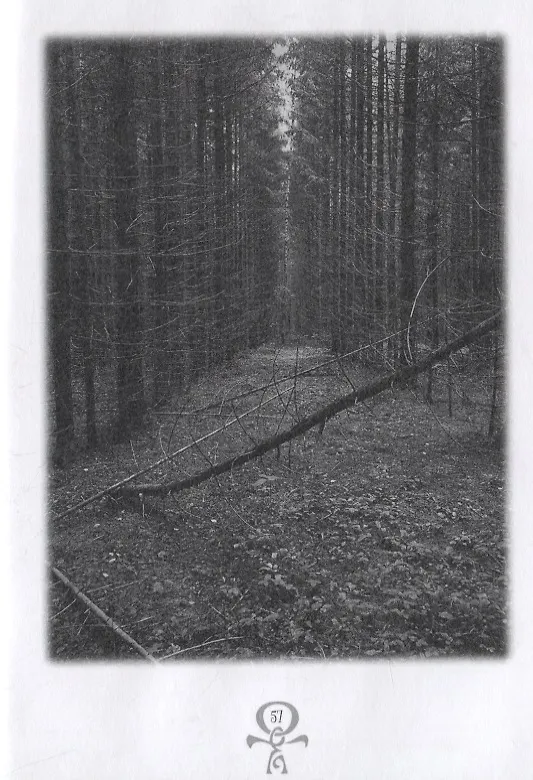 Книга Стихи зла () — 7