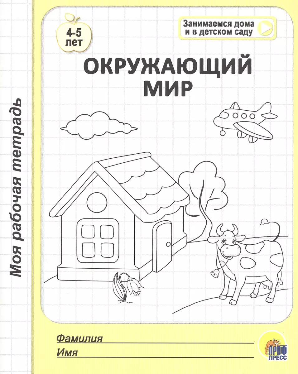 Окружающий мир. 4-5 лет - купить книгу с доставкой в интернет-магазине  «Читай-город». ISBN: 978-5-378-29474-9