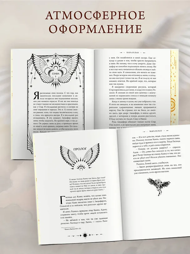 Книга Ангельская сага. Книга ангелов (#3) (подарочное оформление) (Мара Вульф) — 9
