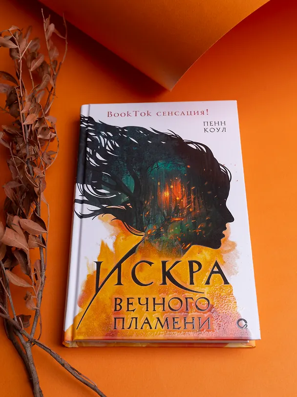 Книга Искра вечного пламени (Пенн Коул) — 2