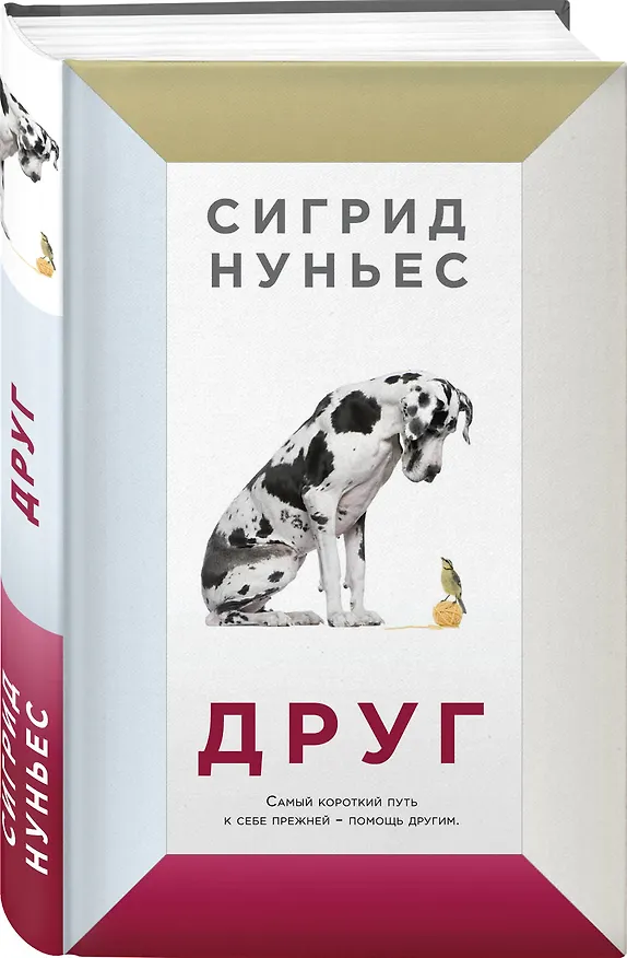 Книга Друг (Сигрид Нуньес) — 4