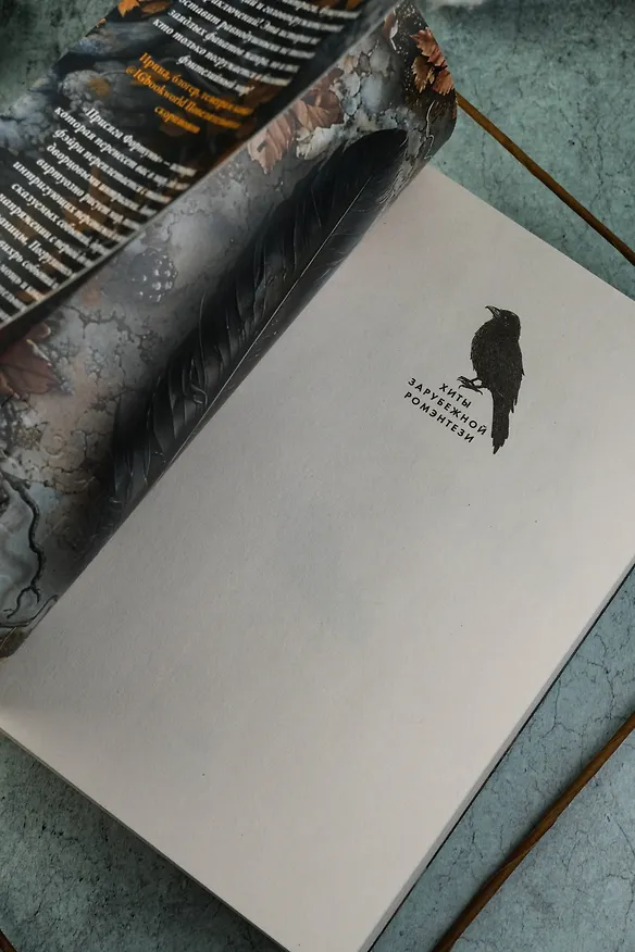 Книга Присяга фортуны (Камилла Саттон) — 10