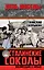 Сталинские соколы. Возмездие с небес — 2459434 — 1