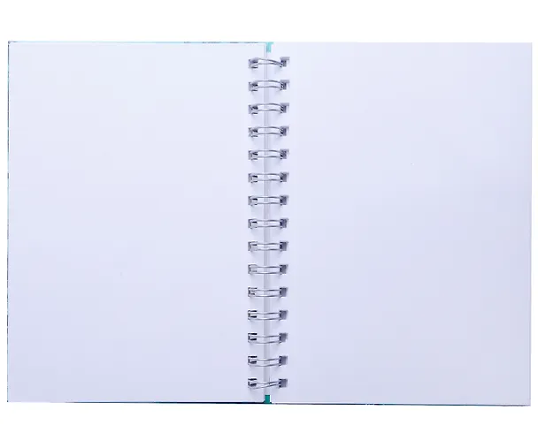 Скетчбук А5 100л "SKETCHBOOK. Пруд" 100г/м2, тв. обложка, евроспираль, мат.ламинация 3040088 — 2