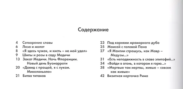 Книга Микеланджело (Екатерина Малинина) — 2