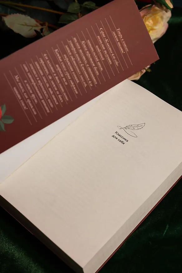 Книга Собор Парижской Богоматери (Виктор Мари Гюго) — 11
