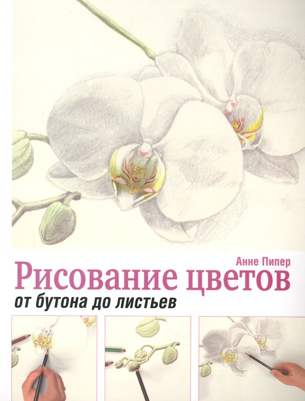Книга Рисование цветов от бутона до листьев (Анна Пипер) — 1