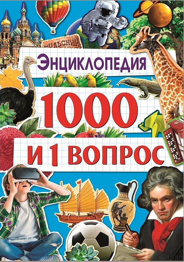 Книга 1000 и 1 Вопрос (Людмила Соколова) — 1