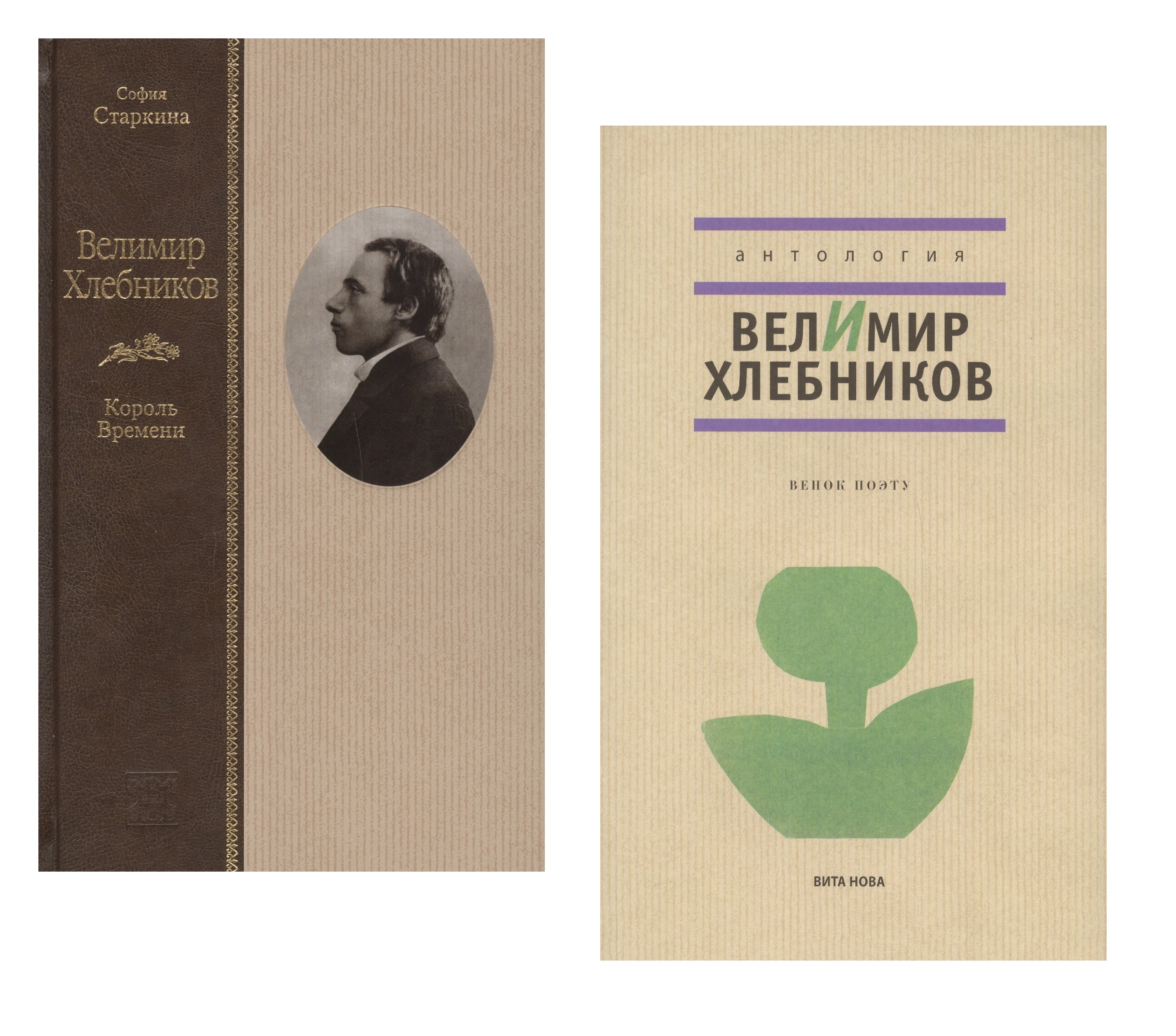 

Велимир Хлебников. Король времени. Биография. Венок поэту. Антология (Комплект из 2 книг)