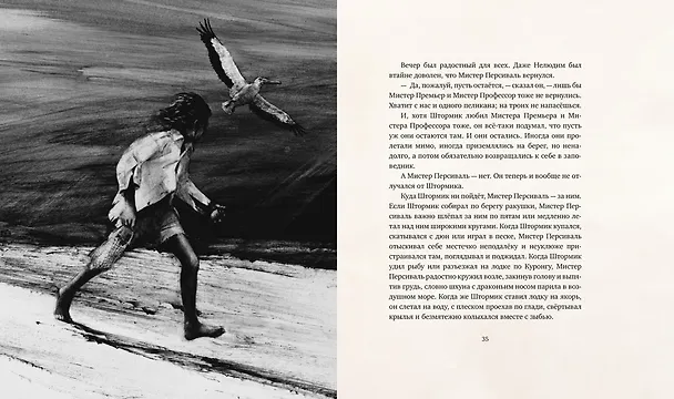 Книга Штормик и мистер Персиваль (Колин Тиле) — 7