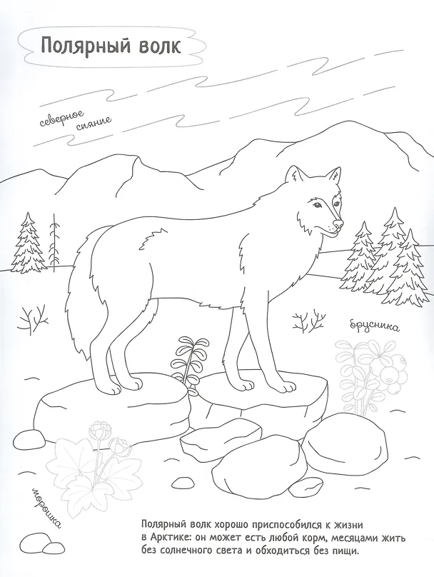 Книга Раскрась Россию (комплект из 2 книг) () — 6