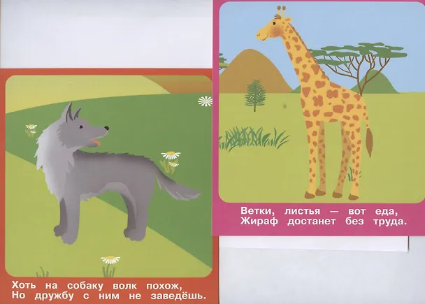 Книга Животные в зоопарке. Набор развивающих карточек () — 4