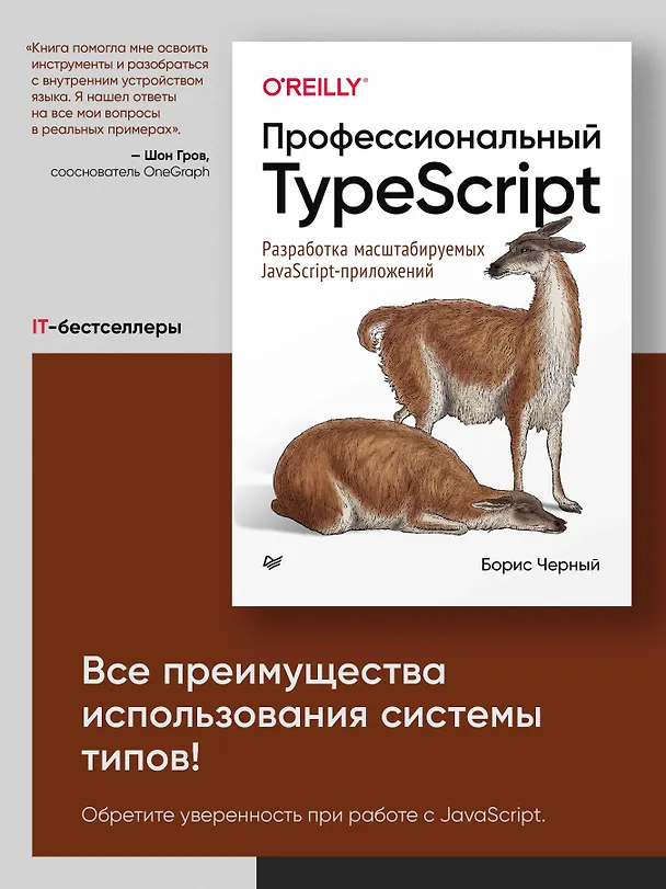 Книга Профессиональный TypeScript. Разработка масштабируемых JavaScript-приложений (Борис Черный) — 3