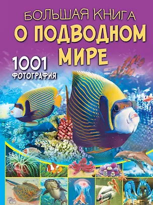 Книга Большая книга о подводном мире. 1001 фотография (Вячеслав Ликсо)