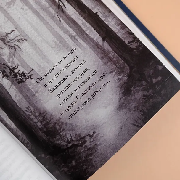 Книга Реннвинд. Проклятие дня (Леа Стенберг) — 15