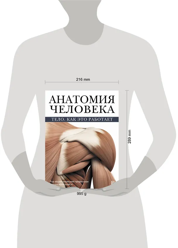 Книга Атлас анатомии Абрахамса (Питер Абрахамс) — 11