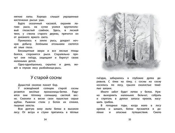 Книга Год в лесу (Иван Соколов-Микитов) — 14