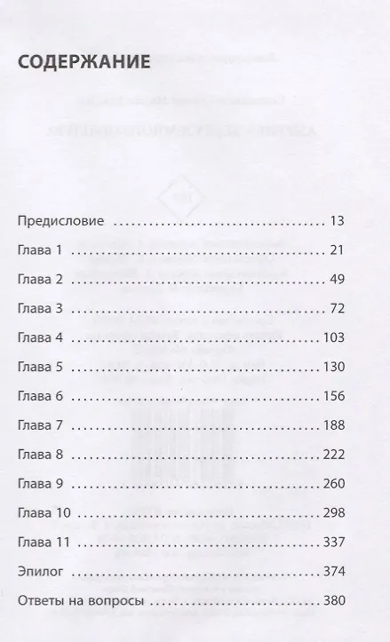 Книга Америка без туземного прищура () — 2