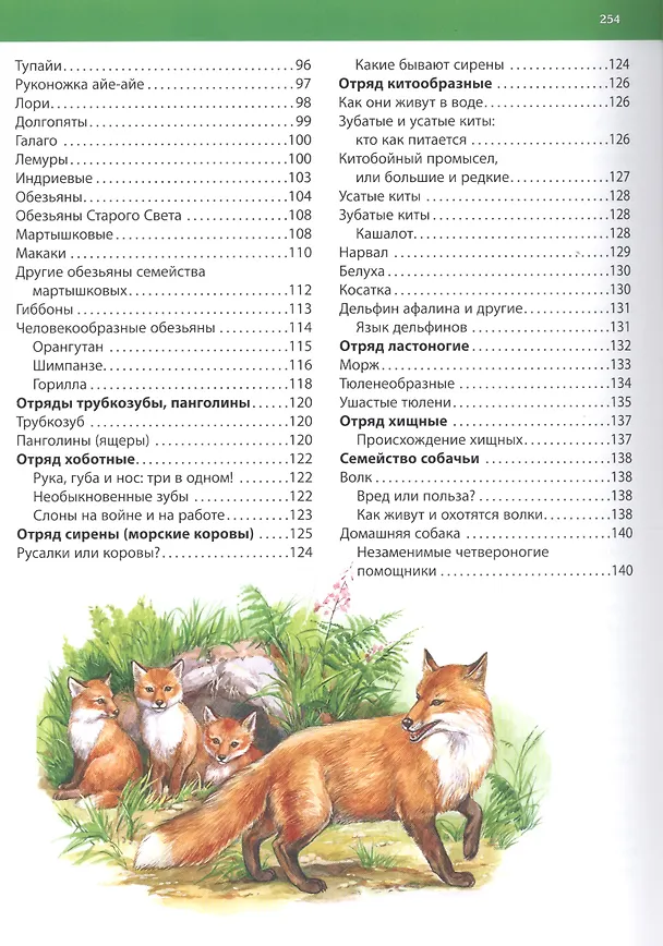 Книга Большая энциклопедия животного мира (С. Рублев) — 4