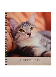 Тетрадь в клетку Unnika, "Домашний уют (кошки)", 80 листов, в ассортименте