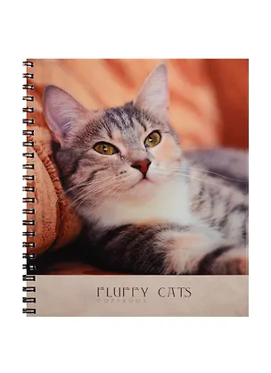 Тетрадь в клетку Unnika, "Домашний уют (кошки)", 80 листов, в ассортименте 239557