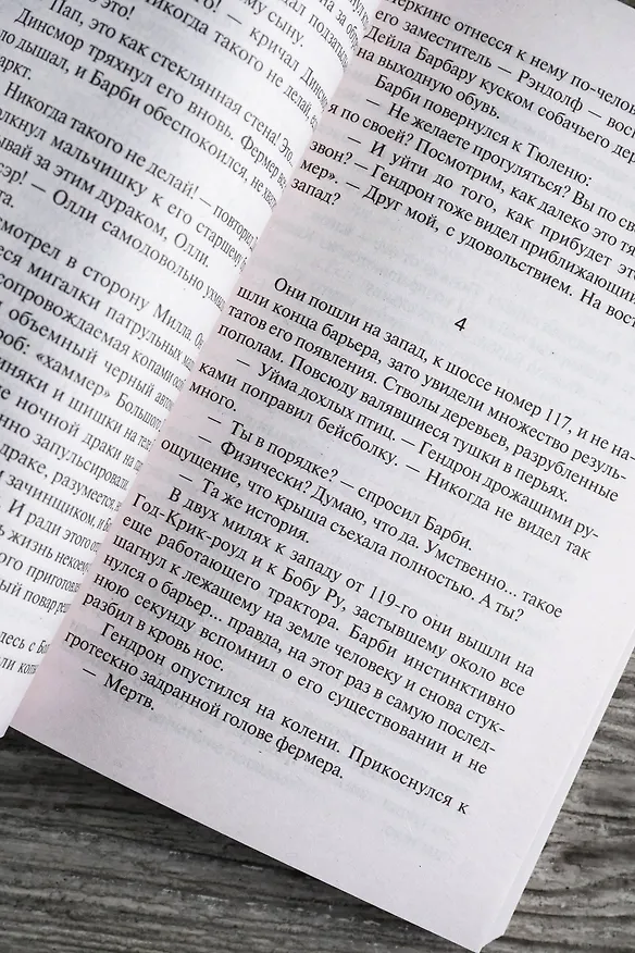 Книга Под Куполом. Падают розовые звезды (Стивен Кинг) — 13