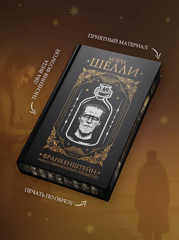Книга Франкенштейн, или современный Прометей (Мэри Шелли) — 8