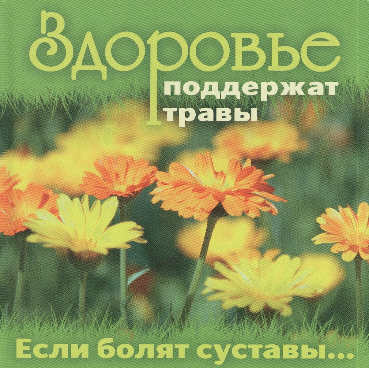 

Здоровье поддержат травы. Если болят суставы...