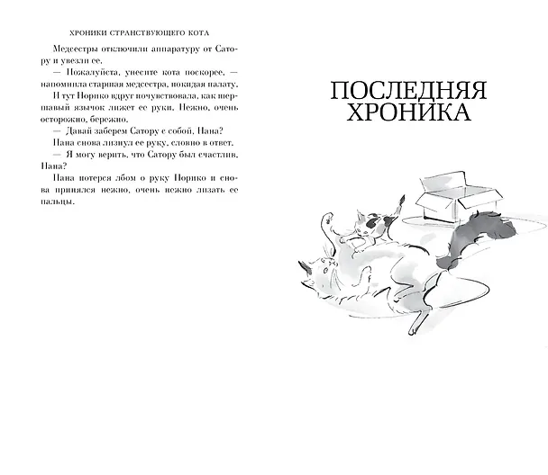Книга Хроники странствующего кота (Хиро Арикава) — 18