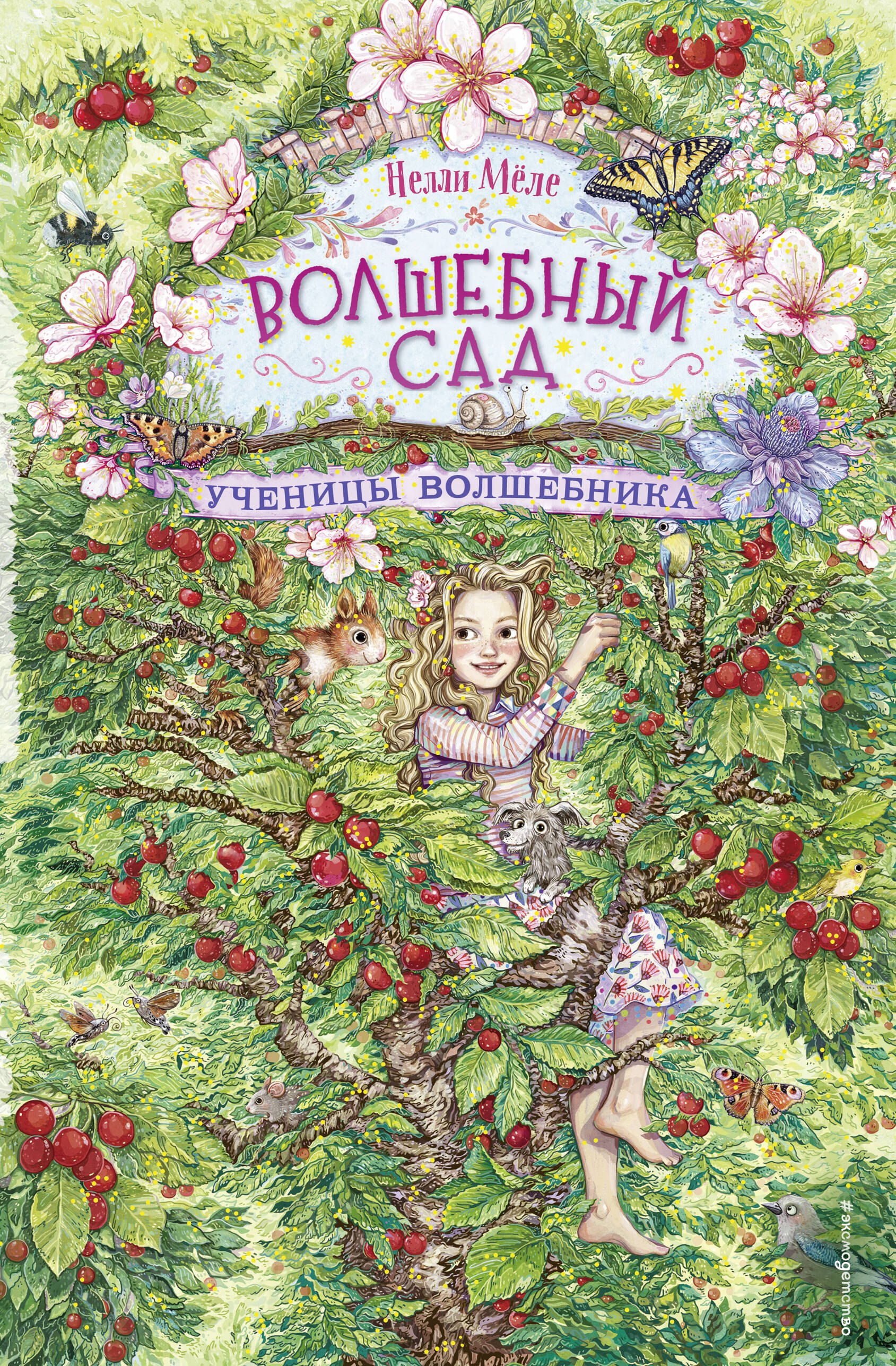 

Ученицы волшебника