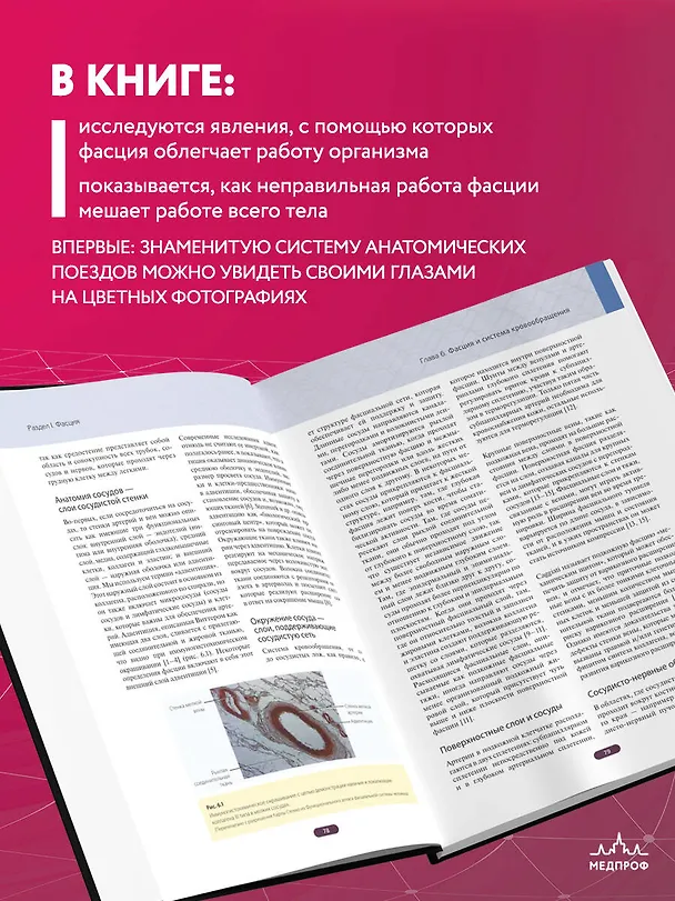 Книга Фасция. Функциональные и медицинские аспекты (Дэвид Лесондак) — 8
