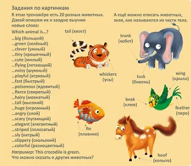 Книга Тренажер - перевертыш. Английский язык () — 13