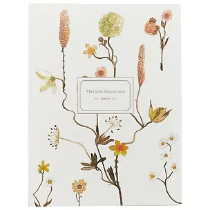 Папка 20ф А4 "Natural collection" пластик, ассорти, инд.уп  247003