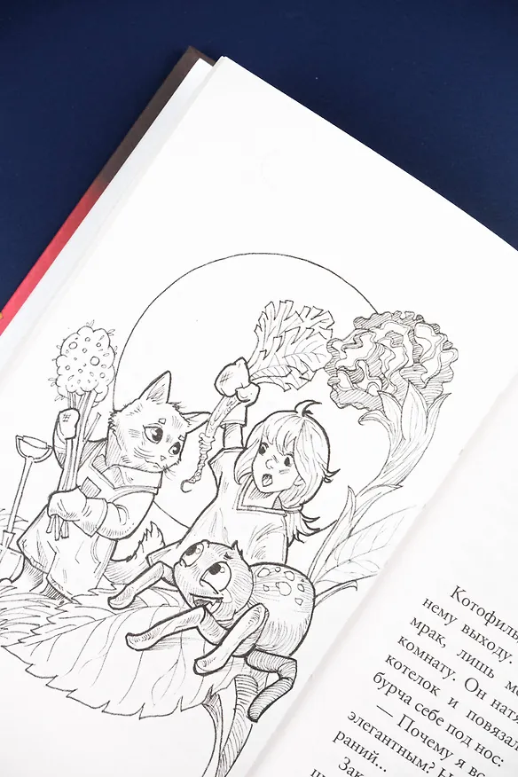 Книга Котофильд в поисках клада (Ольга Соловьёва) — 12