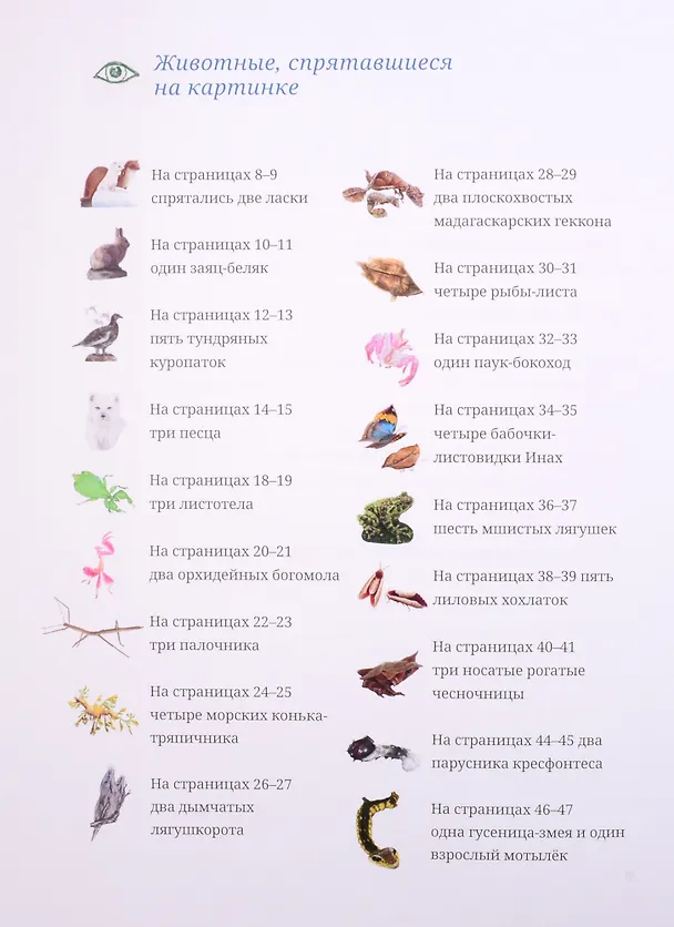 Книга Животные невидимки. Чудеса маскировки в дикой природе (Лина Реншлебротен) — 2
