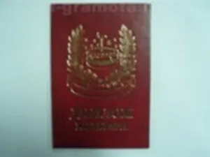 Диплом юбиляра (AE0000745) (Мастер)