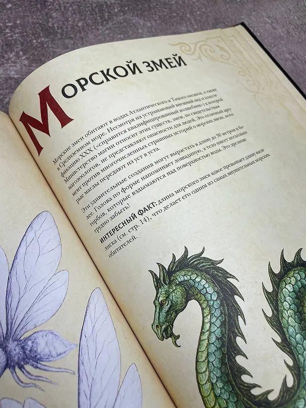 Книга Магический бестиарий. Волшебные существа из Гарри Поттера (Гризельда Фогг) — 8