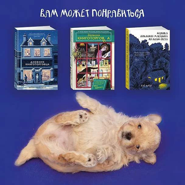 Книга Собаки книжного магазина на краю света (Рут Шоу) — 11