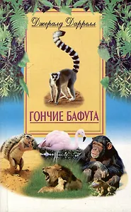 Гончие Бафута