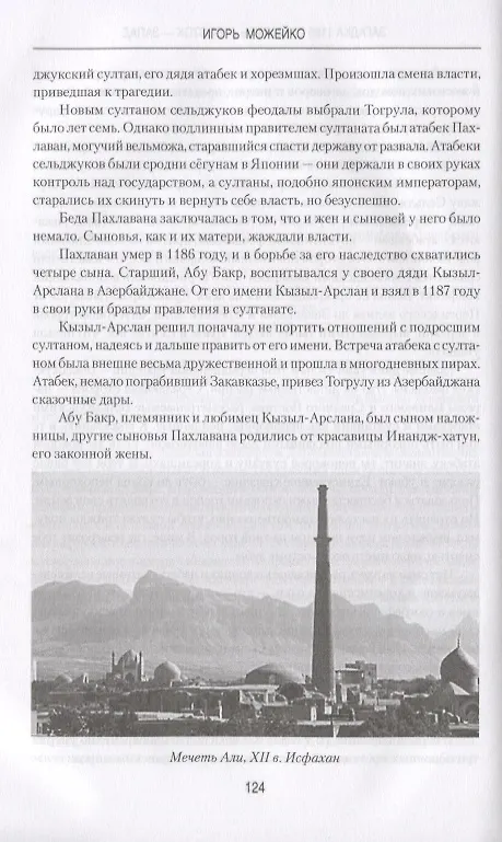 Книга Загадка 1185 года. Русь - Восток - Запад (Игорь Можейко) — 5