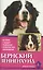 Бернский зенненхунд. История. Стандарты. Разведение. Профилактика заболеваний — 2426232 — 1