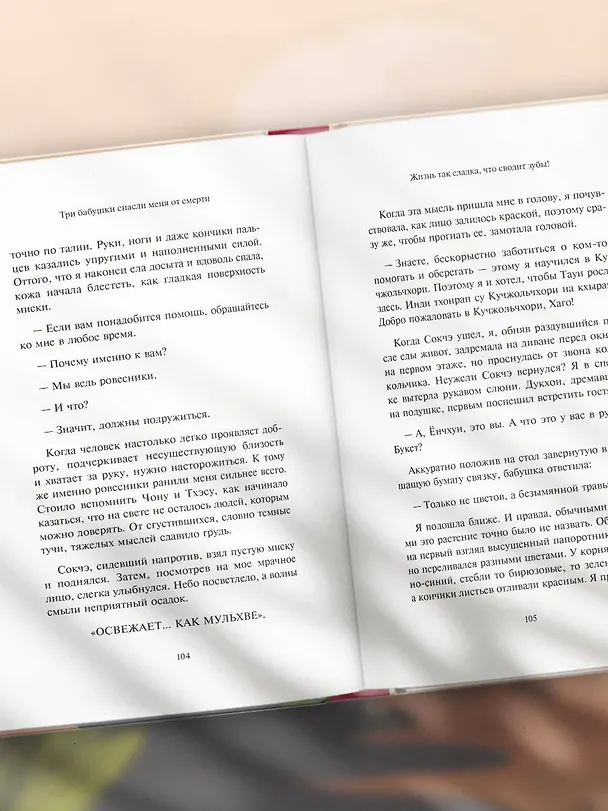 Книга Три бабушки спасли меня от смерти. Самый ожидаемый хилинг-роман 2025 года (Сыльги Ким) — 10