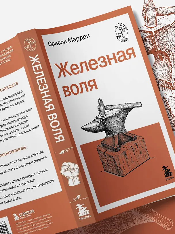Книга Железная воля (О. Марден) — 11