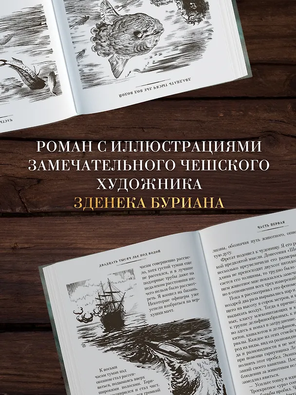 Книга Двадцать тысяч лье под водой (Жюль Габриэль Верн) — 8