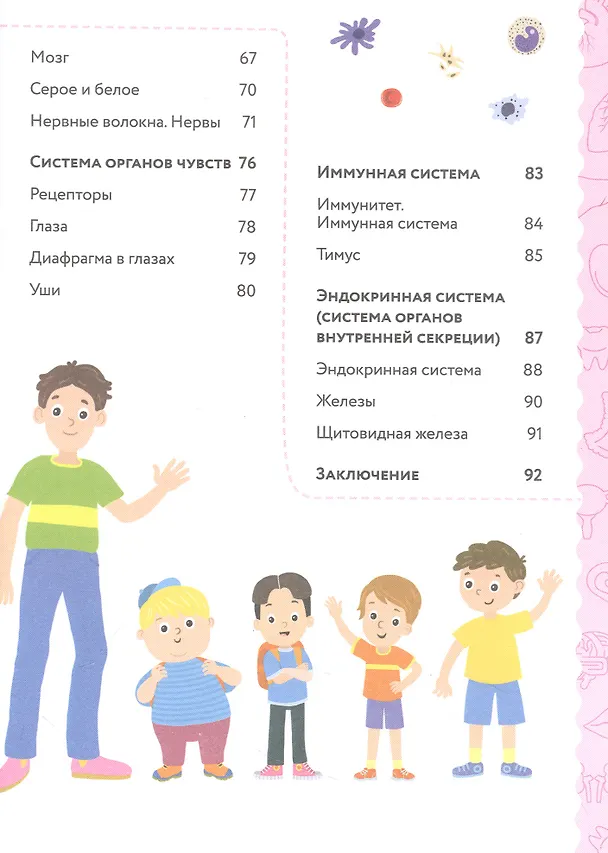 Книга Анатомия для детей (Андрей Богдарин) — 4