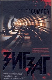 Зигзаг : [роман]