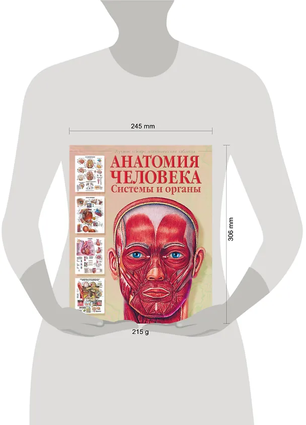Книга Анатомия человека. Системы и органы (Евгения Махиянова) — 4
