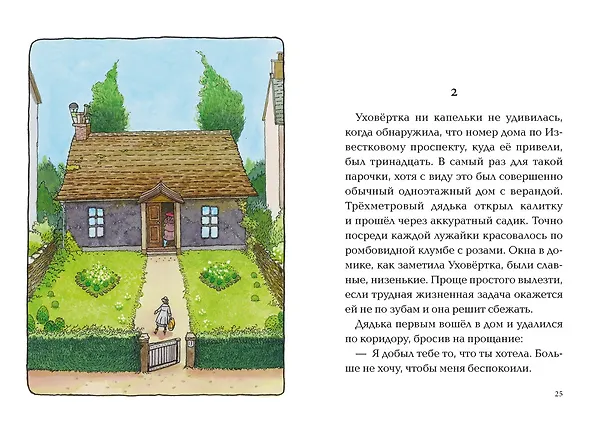 Книга Ая и ведьма (Диана Джонс) — 9
