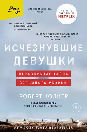 Исчезнувшие девушки. Нераскрытая тайна серийного убийцы — 2919073 — 1